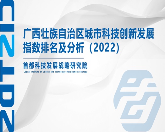 美女肏肏屄【成果发布】广西壮族自治区城市科技创新发展指数排名及分析（2022）